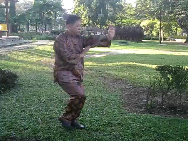 Sun Style Taijiquan